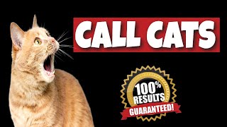 Sound to Call Cats {GUARANTEED}