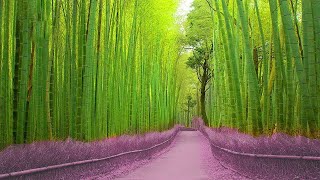 10 Lugares Mas Increbles Que En Realidad Existen