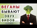 Веганы-блогеры… Кто они? Виды вегетарианцев - наивный пациент или очень опасный верующий экстремист.