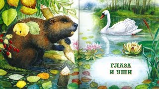 ГЛАЗА И УШИ.Виталий Бианки аудио сказка: Аудиосказки-Сказки на ночь.Слушать сказки онлайн ГЛАЗА И УШИ.Виталий Бианки аудио сказка: Аудиосказки-Сказки на ночь.Слушать сказки онлайн