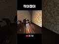 [리썰컴퍼니] 작아졌어 #리썰컴퍼니  #게임 #공포게임 #웃긴영상  #lethalcompanygame #funny #gaming
