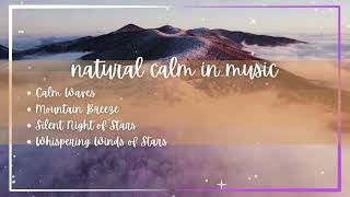 Nature Calm in Music - Calm Waves - Mountain Breeze - Silent Night of Stars - Whispering Winds