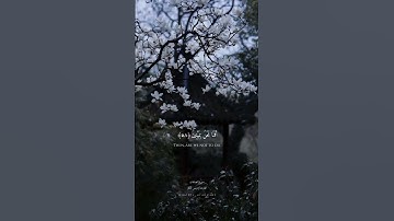 إدريس أبكر..سورة الصافات..اللهم أحينا مسلمين وتوفنا مسلمين وألحقنا بالصالحين…🌸🌿