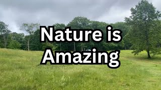 Nature is Amazing