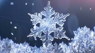 Photoreal Macro Snowflakes in Cinema 4D