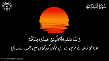 Surah At-Tawbah | سورة التوبة | Ayat 16 to 20 | Quran Urdu Translation | قرآن اردو ترجمہ