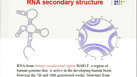 Thermodynamics of RNA structures by Wang-Landau sa...