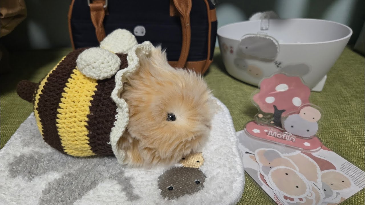 my moflin's first birthday