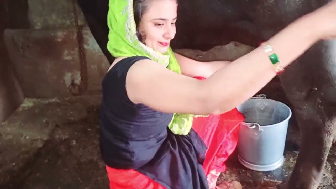 Latest milking video by girl 