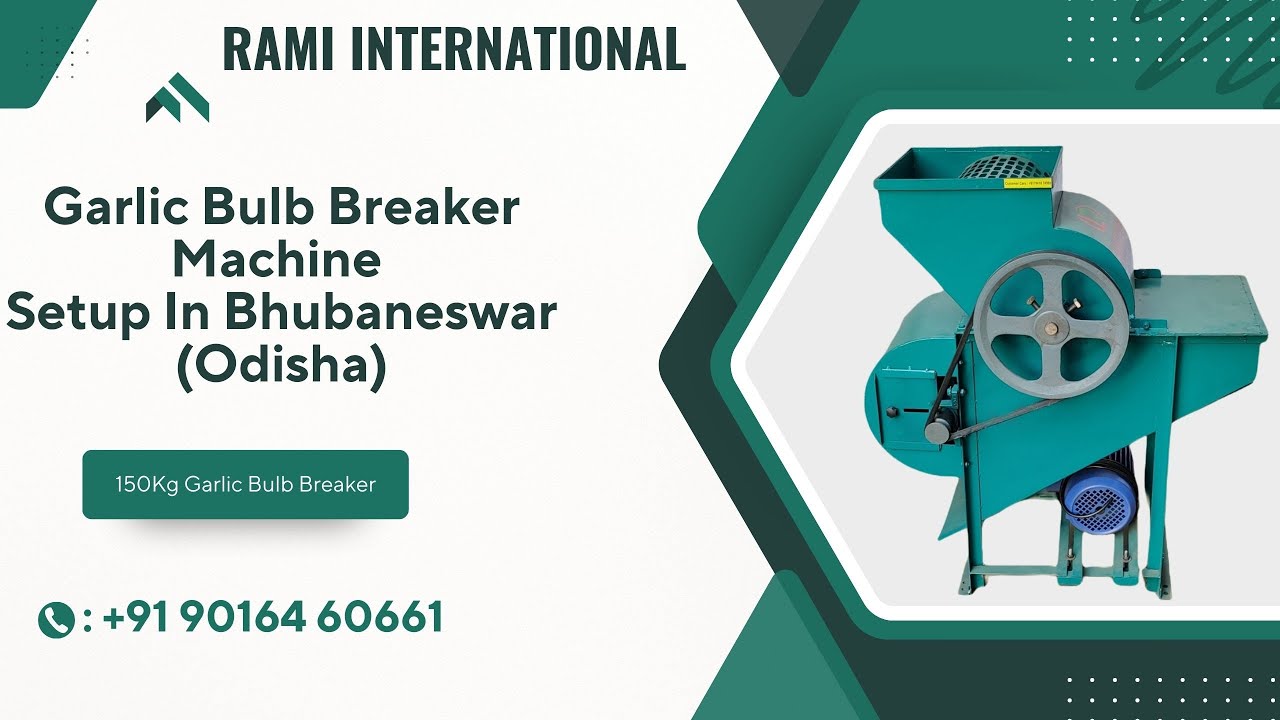 Garlic Bulb Breaker Machine In Bhubaneswar (Odisha)🧄 150KG Garlic Clove Separator Machine🧄 