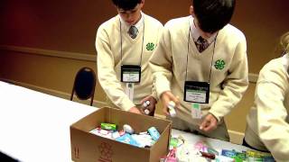 4-H Service Projects