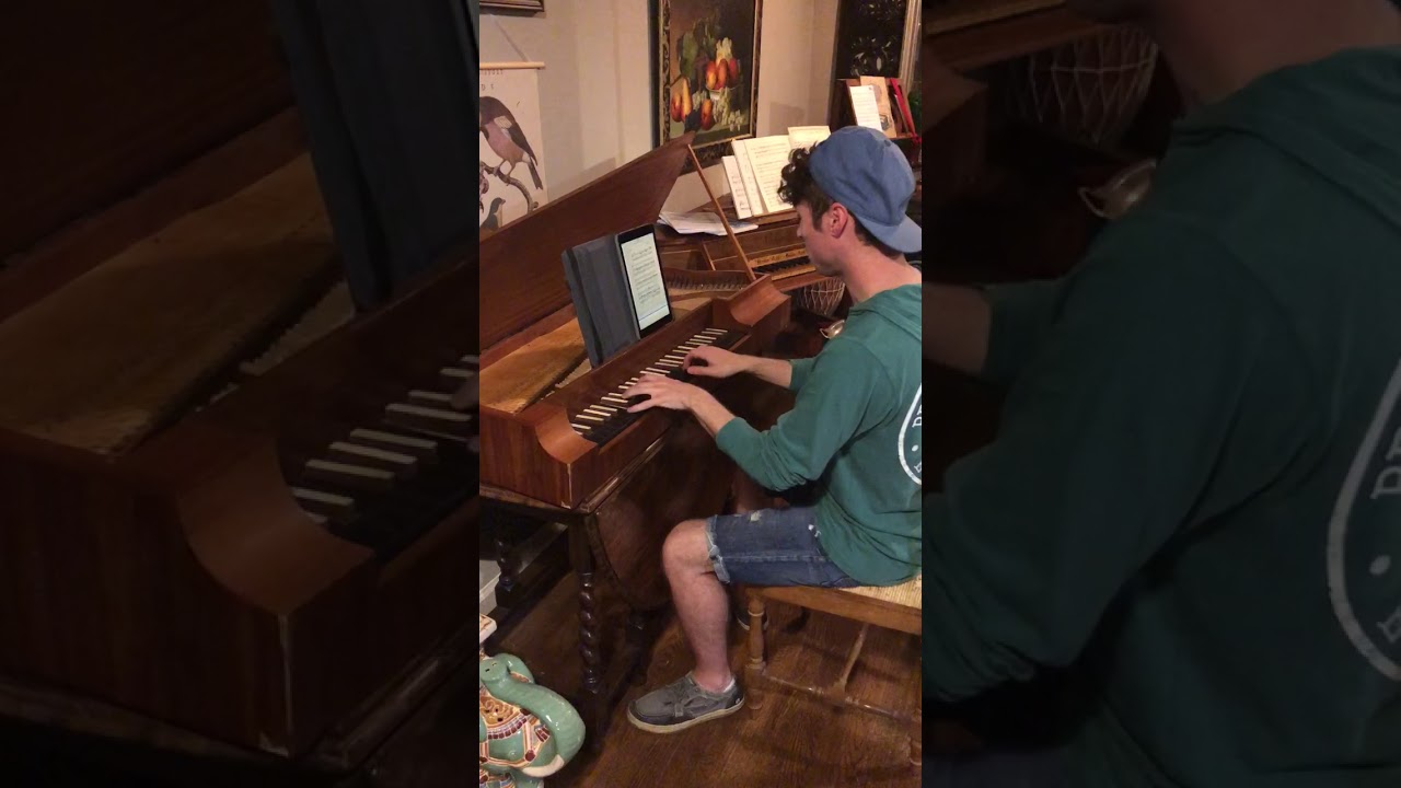 Pantaleon or Pantalon - an Early Fortepiano (sold) - Plaisir d’Amour