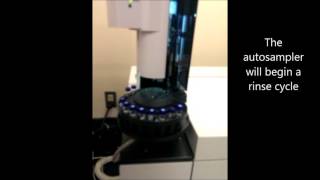 Sample analysis on an Agilent GCMS