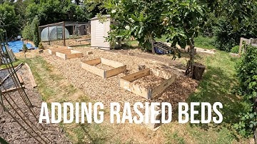 Day 3 On My First Allotment | Flattening the plot | Adding Raised Beds | Allotment Transformation |