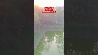 😱 Zoom Test - My Phone - Redmi Note 10s 🔥 #shorts #zoom #zoomtest #redmi