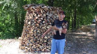 Why I built a Holz Hausen Wood Pile (A circular wood pile)