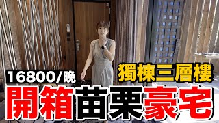 超頂級！一晚台幣16800苗栗別墅豪宅民宿《飯店人生EP128》 