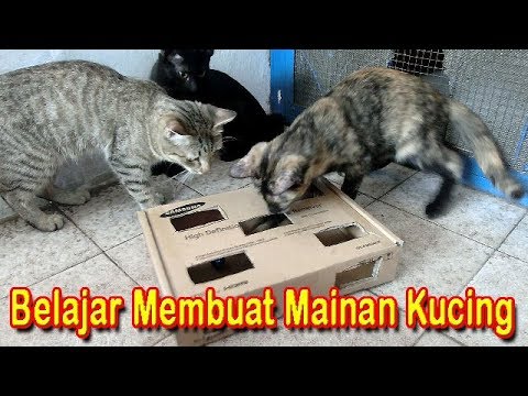 Belajar Membuat Mainan Kucing - YouTube