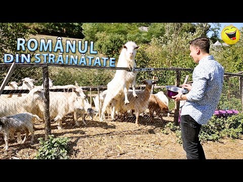ROMÂNUL UITĂ DE UNDE A PLECAT 😂 #3CHESTII