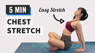 5 Min Chest Stretches For Tightness Chest Stretches After Workout Follow Along
