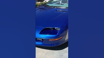 What do you think of my dad