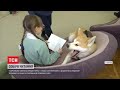 У Херсоні собака допомагає дітям долати труднощі в читанні