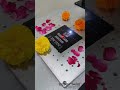 Video Image