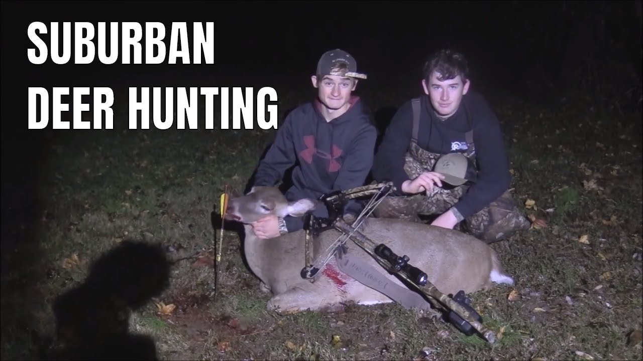 Suburban Deer Hunting November 9, 2018 YouTube