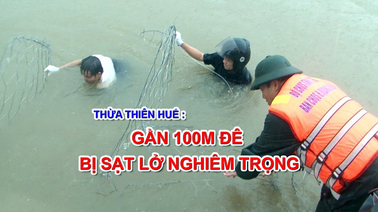 Thừa Thiên Huế: Gần 100m đê sạt lở nghiêm trọng