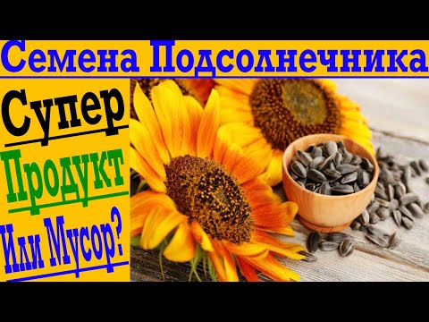 Семена подсолнечника! Здоровый продукт или страшный вред!? Стоит ли оставлять Семечки в рационе?