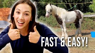 How to High Line a Horse  FAST & EASY!