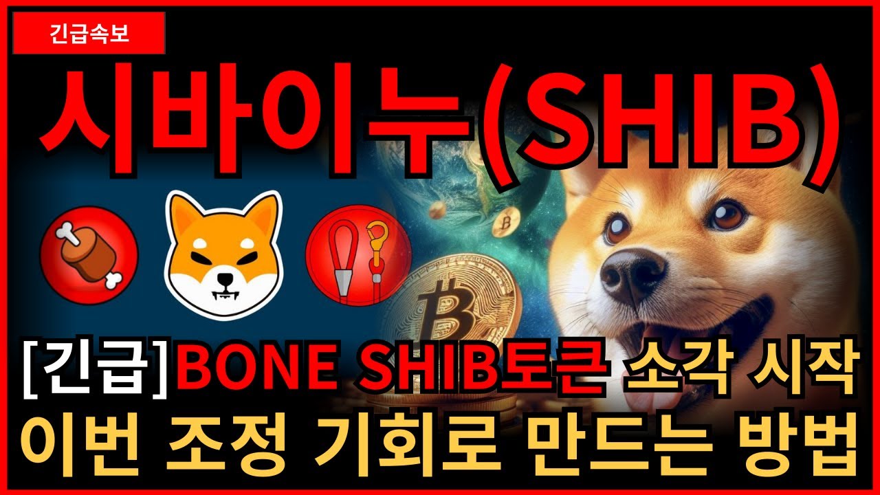 [시바이누] SHIB토큰 소각 시작 이번 조정 