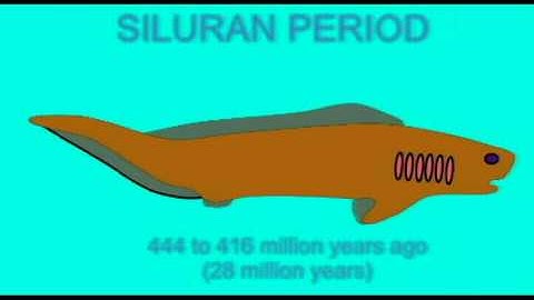 PL EXAM 1: FOSSIL JAWED FISH FROM THE ORDOVICIAN THRU SILURAN.avi
