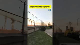 Sound Pollution-free Road।। Sweden।। Environment #sweden #bangladesh