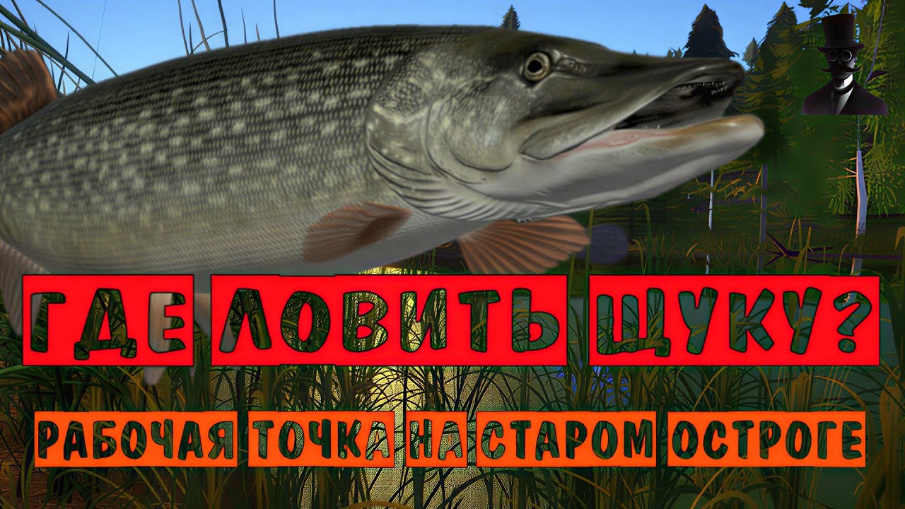 ГДЕ ЛОВИТЬ ЩУКУ? Рабочая точка на озере Старый Острог! Точки клёва - Русская Рыбалка 4.