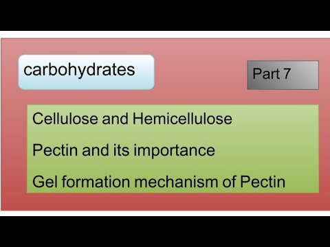 Cellulose and Hemicellulose l gel formation mechanism of pectin l importance of pectin