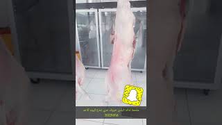 ماشاء الله خروف حري جذع ملحمة لذائذ البلدي خميس مشيط حي حسام جوار اسواق الدلفين