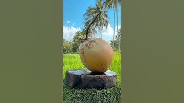 Masterful Slicing Needs an Ultra-Sharp Knife