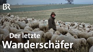 Auch bei Kälte im Freien - der letzte Wanderschäfer im Landkreis Regen | Schwaben + Altbayern | BR