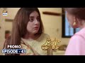 Watch Mera Dil Mera Dushman Episode 43 - Promo - ARY Digital Drama Online In Hd