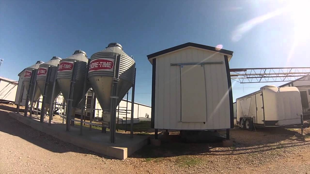 Oklahoma State Animal Science Department - YouTube