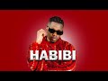 Rayvanny Ft Jay Melody Habibi Type Beat X Emotional Afro Bongo Beat X Rhumba Beat X Dancehall X Zouk 