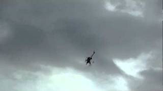 Tooruさん T-Rex250 103