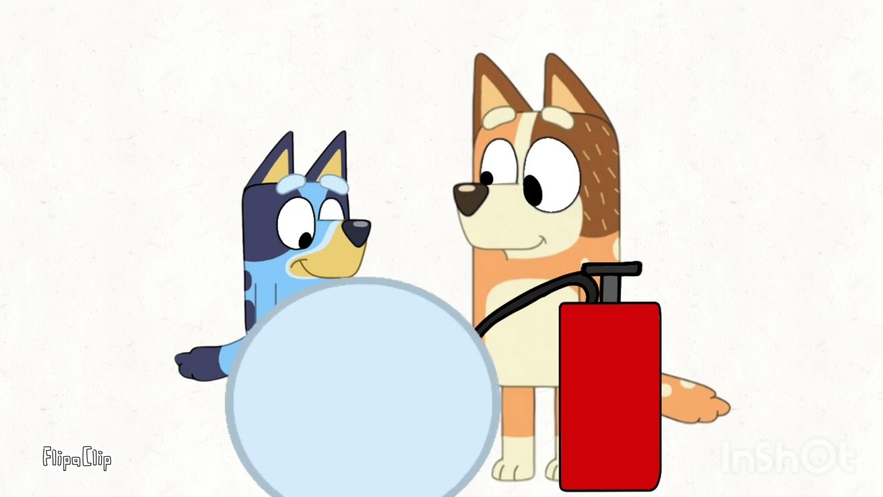 Bluey belly inflation chilli 