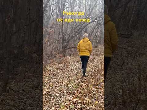 Секреты успеха #омархайям