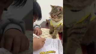 ஏனோ சந்தித்தோம்😌😮‍💨🤣| #funny #comedydub #shortsfeed #animalfunny #catvideos #monkeycomedy #pets