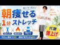 【朝から代謝爆上げ】1分で痩せるかんたんストレッチ🔥 #ダイエット #痩せる #weightloss #fitness #bellyfat