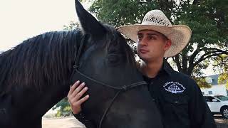 The Horseman - U.S. Army Caisson Platoon