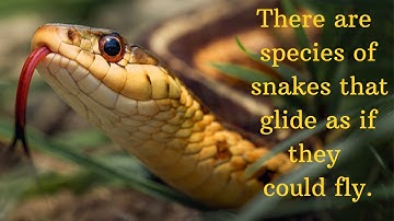 8 Interesting Facts About Snakes