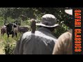 Green Season Bulls Early Safari In Nyakasanga 